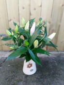 All Lily Eco Vase