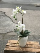 Artificial White Phalaenopsis Plant